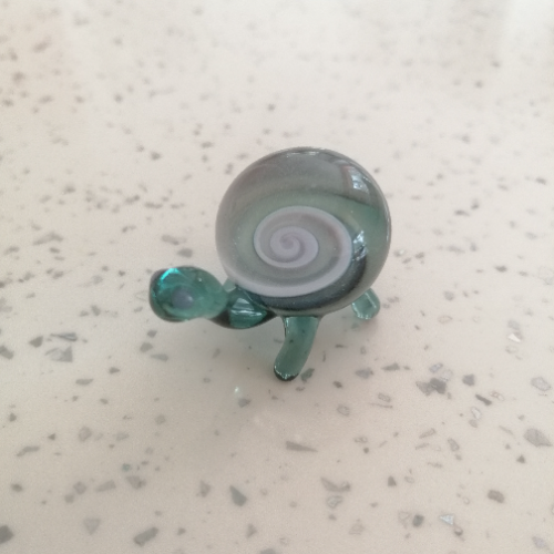 Teal Tortoise with Swirl